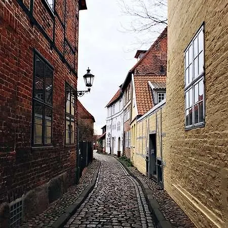 Og Le Mans Nord Alizea Saint-Saturnin (Sarthe)